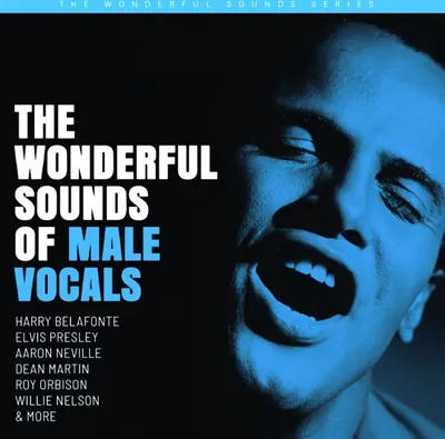 Produktbild von VARIOUS - The Wonderful Sounds Of Male Vocals  (HSACD)