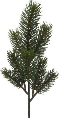 Produktbild von Künstlicher Tannenzweig "REAL" mit 8 Trieben. Ca 40cm.