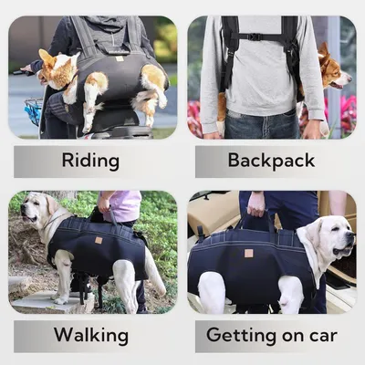 Produktbild von BundiGlassware Hundetragehilfe, Ganzkörper-Tragetuch für große Hunde bis 37,6 kg, mit Griff, Hinterbeinstütze, zur Rehabilitation bei Gelenkverletzungen & Arthritis, für Treppen & Auto, aus atmungsaktivem, strapazierfähigem Oxford-Gewebe