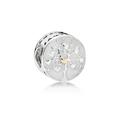Produktbild von Pandora 792106EN23 Charm Familien Stammbaum