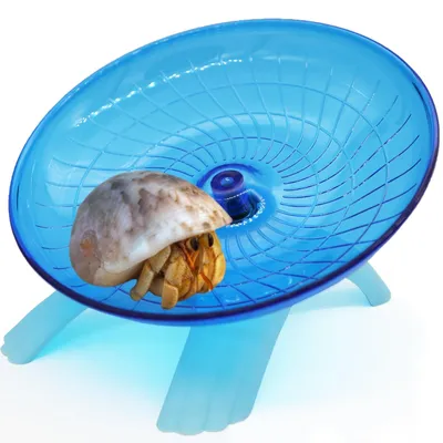 Obrázek produktu pro Kolečko pro hlodavce – otevřený design