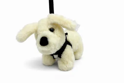 Produktbild von Kuscheltier Hund 22 cm weiß mit Leine – Weiches Plüschtier Puppy, Stofftier