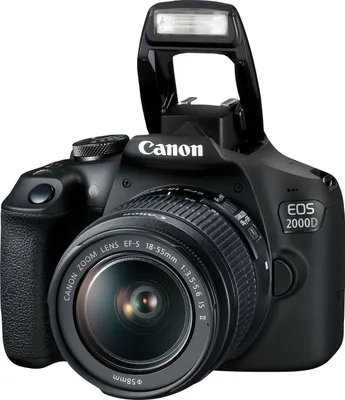 Produktbild von Canon EOS 2000D + EF-S 18-55mm f/3.5-5.6 IS II + EF 75-300mm f/4-5.6 III Spiegelreflexkamera Kit 24,1 MP CMOS 6000 x 4000 Pixel Schwarz