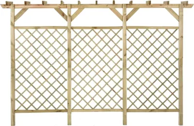 Obrázok produktu pre Záhradný mriežkový plot s pergolou 300x50x200 cm impregnovaná borovica
