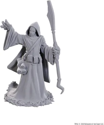 Produktbild von D&D Nolzurs wunderbare Miniaturen – Star Spawn Larvenmagier
