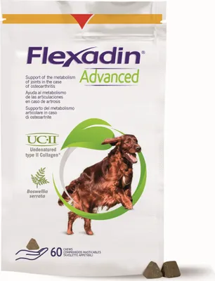Produktbild von Flexadin Advanced für Hunde 60 Kautabletten