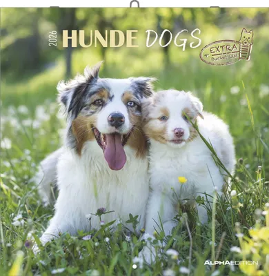 Productafbeelding van Hunde 2026 - Brochurekalanders, 30x30 cm (30x60 cm open)
