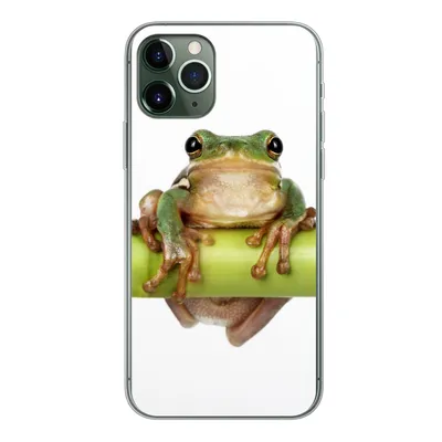 Produktbild von MuchoWow® Handyhülle Schutzhülle Hülle für iPhone 11 Pro Frosch - Bambus - Weiß Silikon Softcase Handy Hülle - Handy