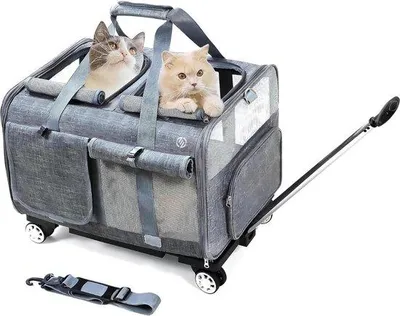 Image de Cage de transport pour chat