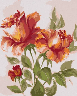 Produktbild von Zuty - Malen nach Zahlen - ROT-ORANGEFARBENE ROSEN, 40x50 cm, mit Keilrahmen (bereits gespannt)