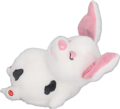 Produktbild von Sprechendes Schweinchen-Spielzeug, fördert Sprachfähigkeiten, weiches Plüsch, elektrisch, interaktives Stofftier für Kinder, Weiß