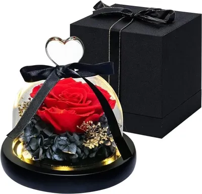 Ewige Rose im Glas, konservierte Echtrose, rot, mit Geschenkbox