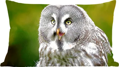 Produktbild von MuchoWow® Zierkissen Sofakissen Wohnzimmer Dekokissen 50x30 cm Vogel - Eule - Grau - Wohnzimmerdekoration - Polster mit Photo
