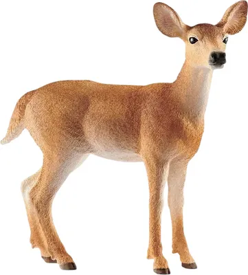 Produktbild von schleich WILD LIFE Weißwedelkuh, 3 Jahr(e), Mehrfarbig, Kunststoff, 1 Stück(e)