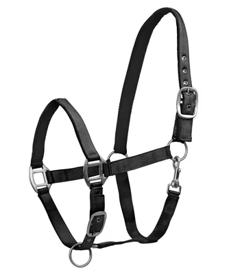 Image de Waldhausen Licol perlon satin
