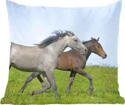 Produktbild von MuchoWow® Zierkissen Sofakissen Wohnzimmer Dekokissen 60x60 cm Pferde - Tiere - Gras - Sitzfläche - Foto Polster