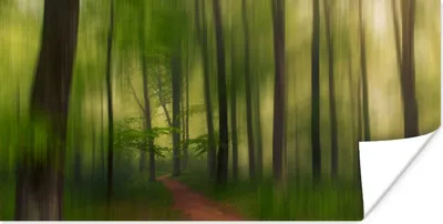 Produktbild von MuchoWow® Poster Waldweg - Tropisch - Grün - Bäume - Wald - Natur 40x20 cm - Poster für die Wand - Poster Schlafzimmer