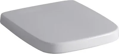 Immagine prodotto di Geberit Toilettensitz WC-Sitz Renova Nr, 1 Plan mit Deckel Scharniere Edelstahl