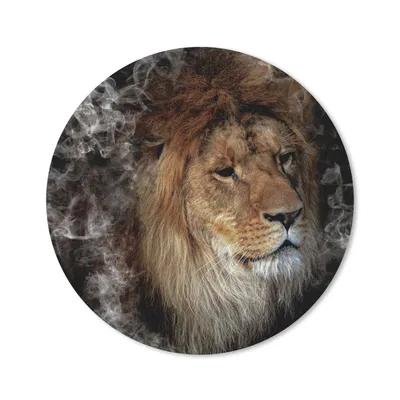 Produktbild von MuchoWow® Mauspad Mousepad Löwe - Rauch - Tiere 20x20 cm - Mousepads - Maus Mat - Pad - Mausunterlage - Schreibtischmatte