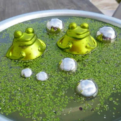 Produktbild von Teich-Deko-Set Schwimmfrösche 8-teilig 2 grüne Schwimmfiguren aus Glas 6 Edelstahlkugeln silber
