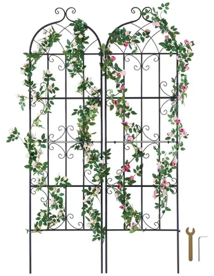 Zdjęcie produktu dla Vevor Podpora Do Roślin Pnących 51X180 Cm Zestaw 2 Solidna Metalowa
