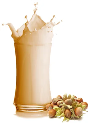 Produktbild von Haselnuss Milchshake Pulver 333 g