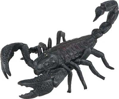 Produktbild von BULLYLAND Skorpion, 3 Jahr(e), Schwarz, 1 Stück(e)