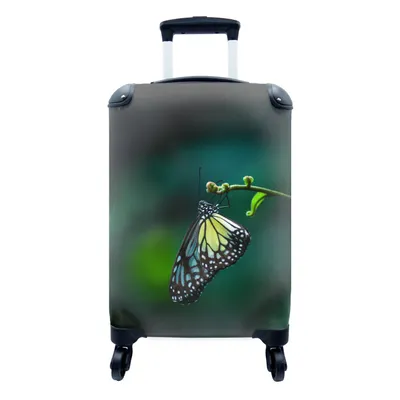 Produktbild von MuchoWow® Koffer Handgepäck Trolley Rollkoffer Kleine Reisekoffer mit 4 Rollen - Nahaufnahme Schmetterling auf einem Zweig - Cabin Size < 55x40x23 cm & 55x40x20 cm - Fotokoffer - Kabinenkoffer - Boardgepäck - Reise-Box - Reisekoffer - Reisegepäck - Koffer mit Bild - Trolley für Kinder