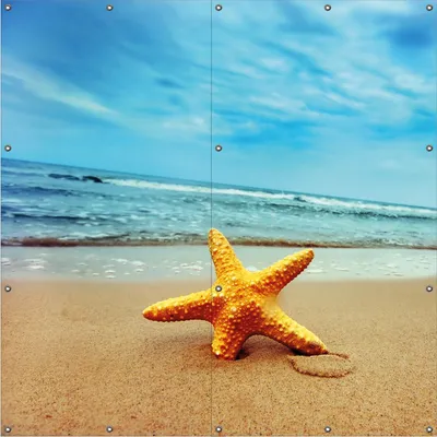 Produktbild von Wallario Outdoor-Poster für Garten oder Balkon, Motiv Seestern am Strand am Meer, in ca. 180 x 180 cm