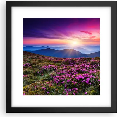 Produktbild von Gerahmtes Poster - Schwarzer Rahmen - Wiese Berg Himmel Landschaft - 30x30 cm - Wand Bild - Wanddeko - Wandbilder - Wandposter - Bilderrahmen - Bilder - Kunstdruck - Wandbild - P2BAC30x30-2719