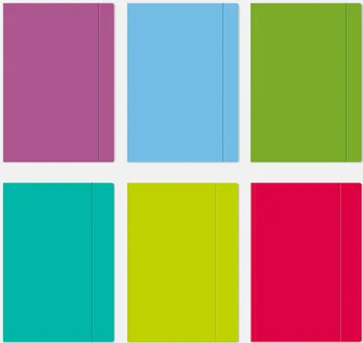 Obrázek produktu pro Teczka z gumką A4+ Fluo mix, Interdruk