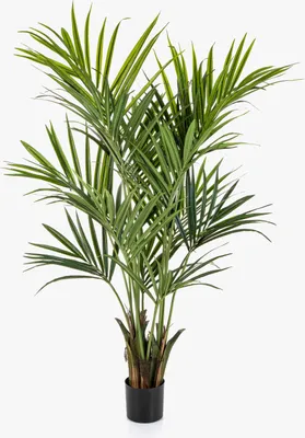Produktbild von artplants.de Künstliche Kentia Palme Omayra, buschig, 170cm - Kunststoff Palme