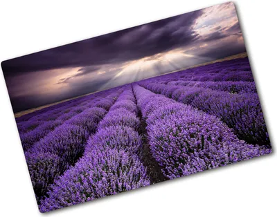 Produktbild von Tulup Glas Herdabdeckplatte - 80x52 cm - Glaskeramikkochfeld-Abdeckung Spritzschutz Glasabdeckplatte - Einteilig - Landschaften - Lavendelfeld - Lila