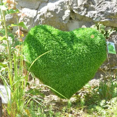 Produktbild von AniPlants Kunstrasen Figur Herz Gartendeko 35 cm