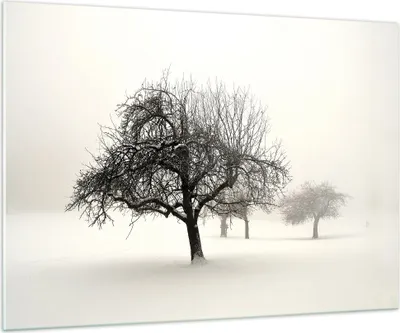 Produktbild von Bilder auf glas - Einteilig - Bäume Schnee Nebel - 100x70cm - Glasbilder - Wandbilder - Bilder - zum Aufhängen bereit - Wanddekoration aus Glas - Glas Bilder - Wandbild auf Glas - GAA100x70-4136