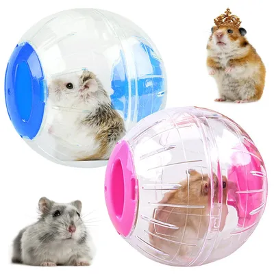 Produktbild von 2 Hamster-Laufbälle, transparente Trainingsflasche für kleine Haustiere