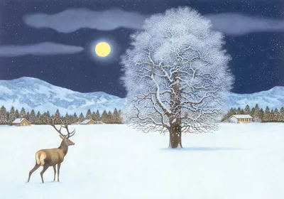 Produktbild von Zauberhafte Winternacht Adventskalender