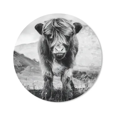 Produktbild von MuchoWow® Mauspad Mousepad Schottischer Highlander - Berg - Schwarz - Weiß 40x40 cm - Mousepads - Maus Mat - Pad - Mausunterlage - Schreibtisch Accessoires