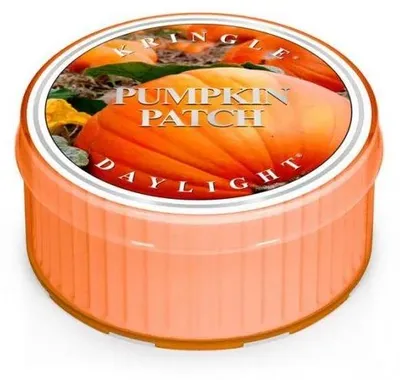 Zdjęcie produktu dla Świeca zapachowa Kringle Candle, seria "Pumpkin Patch" (35 g)