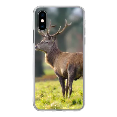 Produktbild von MuchoWow® Handyhülle Schutzhülle Hülle für iPhone X Rothirsch - Wiese - Grün Silikon Softcase Handy Hülle - Handyhülle