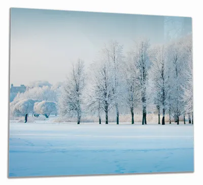 Produktbild von Wallario Herdabdeckplatte aus Glas, Größe 60 x 52 cm 1-teilig, Motiv Verschneite Bäume in einer Winterlandschaft