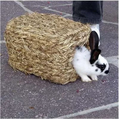 Produktbild von KERBL Grashaus für Nagetiere, 28x18x15 cm