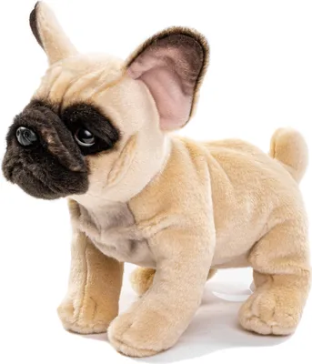 A plush toy French Bulldog is shown standing against a white background.