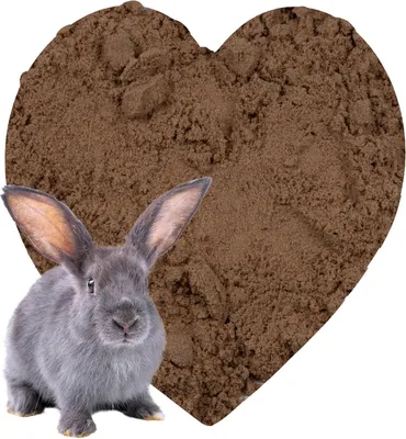 Image de Sable de jeu pour lapins, 25 kg - Sable naturel pour les fosses, idéal pour les rongeurs et les chinchillas