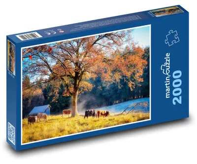 Produktbild von Puzzle 2000 Kühe auf der Herbstweide - martinpuzzle