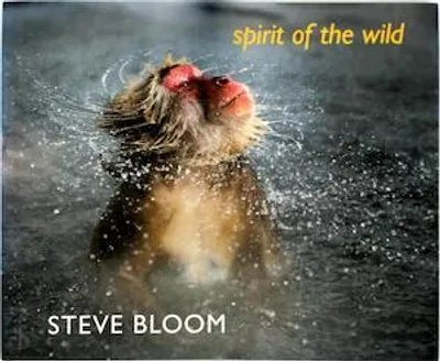 Immagine prodotto di Spirit of the Wind