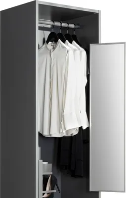 An open wardrobe with clothes hanging and a mirror on the door.