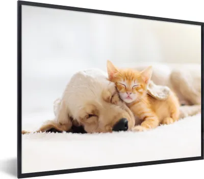 Produktbild von MuchoWow® Gerahmtes Poster Tiere - Hund - Kätzchen - Rot 80x60 cm - Poster mit Schwarzem Bilderrahmen Wandposter Rahmen Foto Bilder - Schwarzem - Mit Gestell