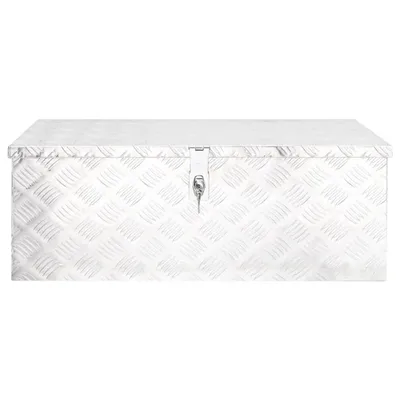 Immagine prodotto di Contenitore Portaoggetti Argento 80x39x30 cm in Alluminio