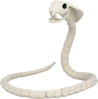 Produktbild von Schlangenskelett - Halloween Deko Outdoor